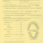 WWI soldier genealogy records from family history research at the National Archives